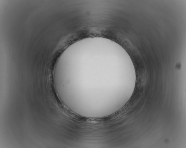 X0000094460706200711081059