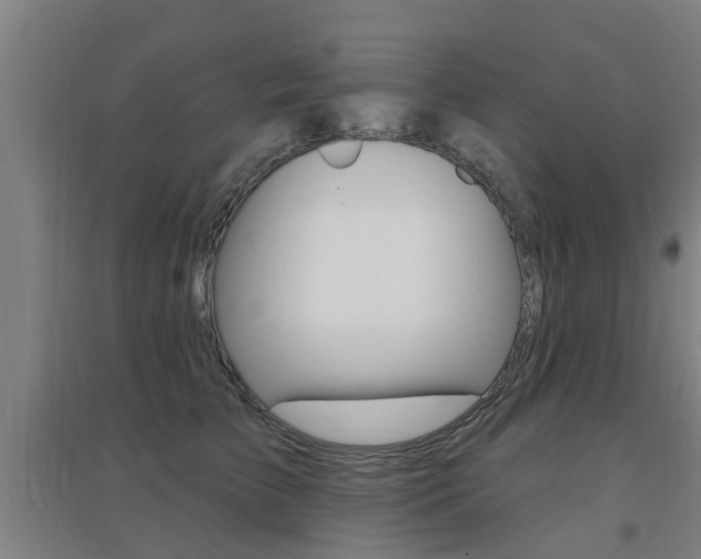 X0000094460709200711081059