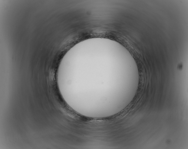 X0000094460711200711081059