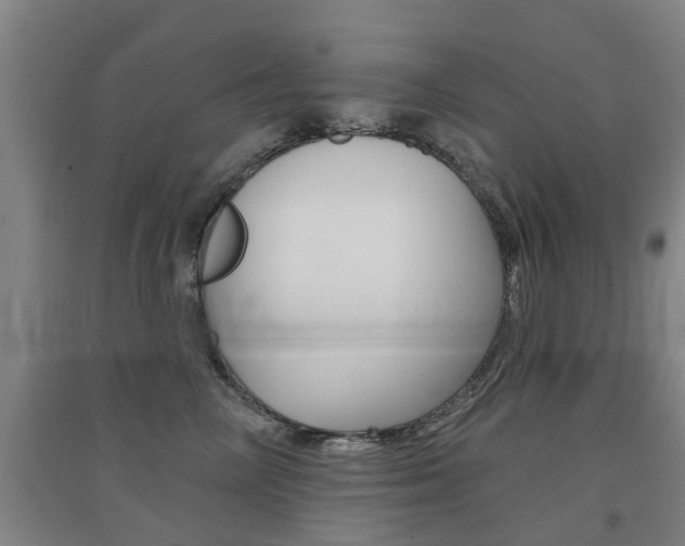 X0000094460714200711081059