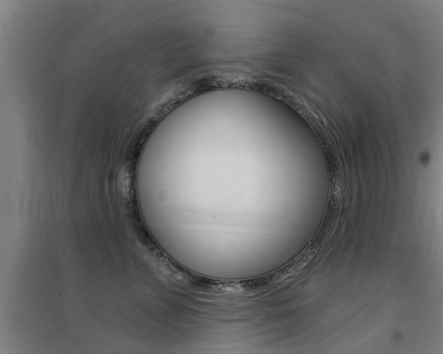 X0000094460715200711081059