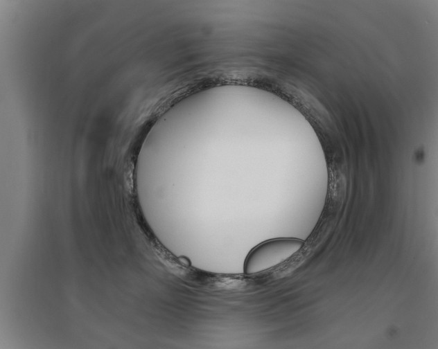 X0000094460718200711081059