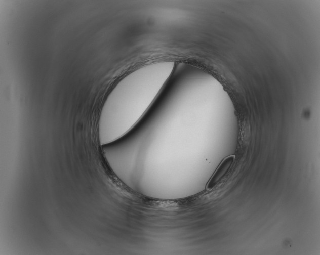 X0000094460719200711081059