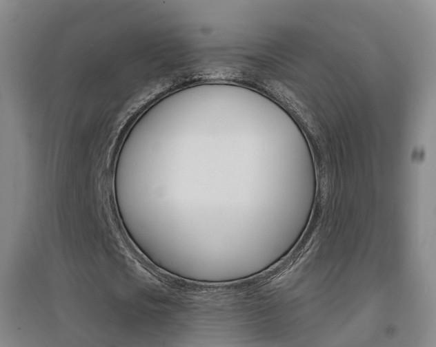 X0000094460721200711081058