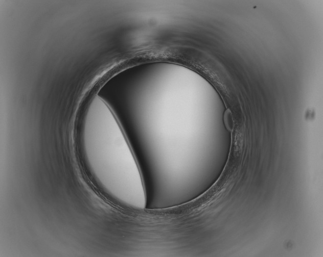 X0000094460722200711081058