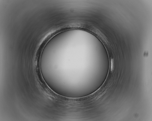 X0000094460723200711081058