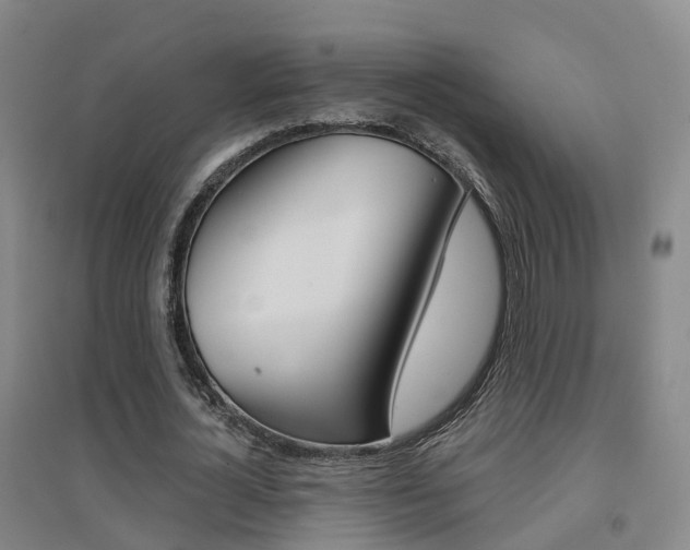 X0000094460724200711081058