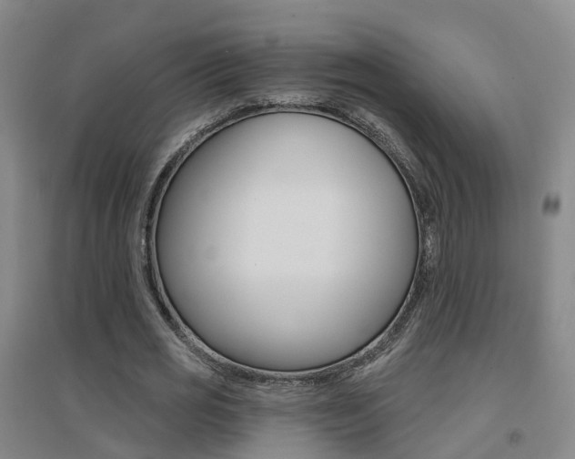 X0000094460725200711081058