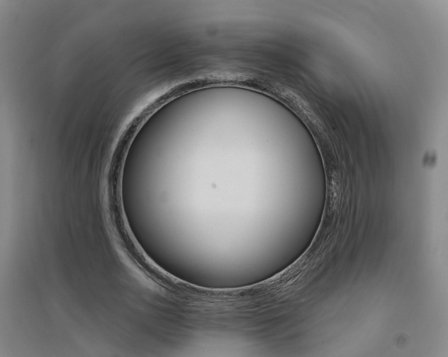 X0000094460726200711081058