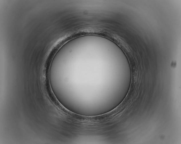 X0000094460727200711081058