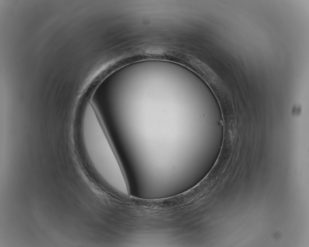 X0000094460728200711081058