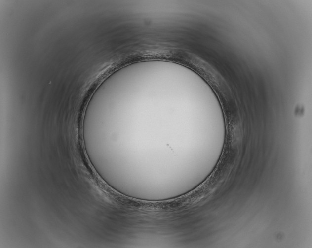 X0000094460729200711081058
