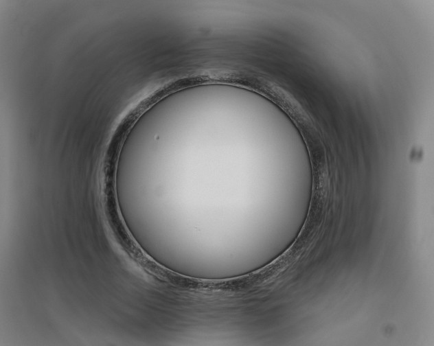 X0000094460730200711081058