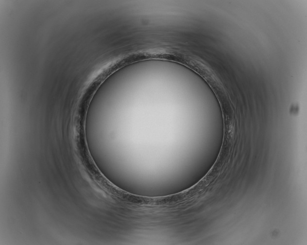X0000094460732200711081058