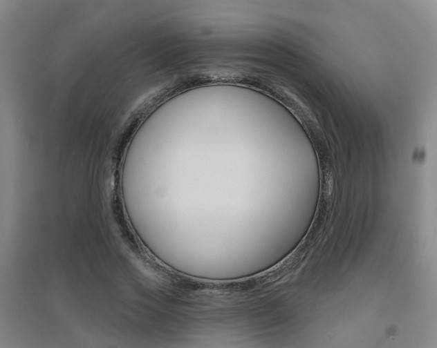 X0000094460733200711081058