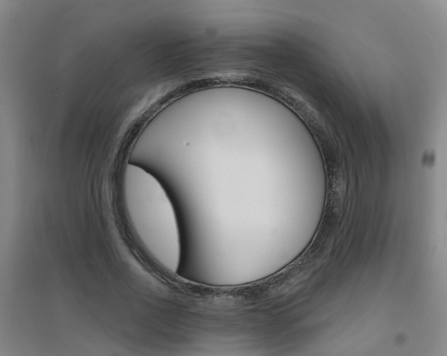 X0000094460734200711081058