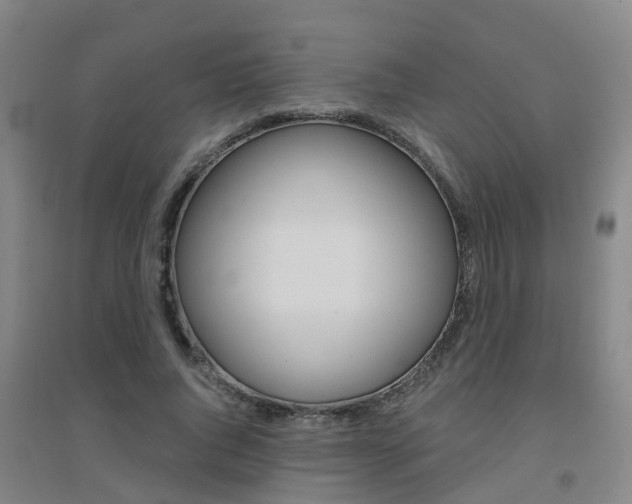 X0000094460736200711081058