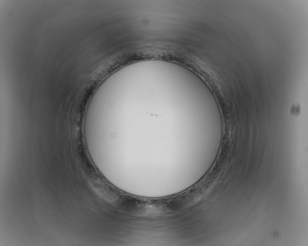X0000094460737200711081058