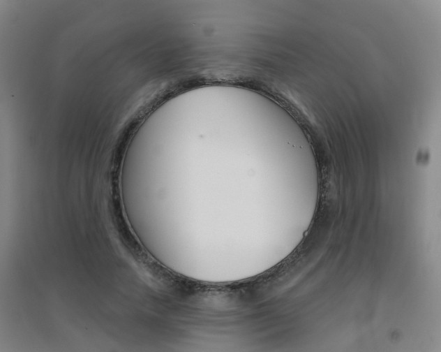 X0000094460738200711081058