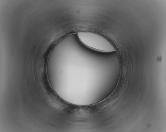 X0000094460739200711081058
