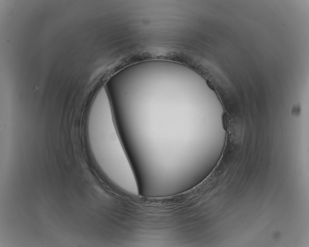 X0000094460740200711081058