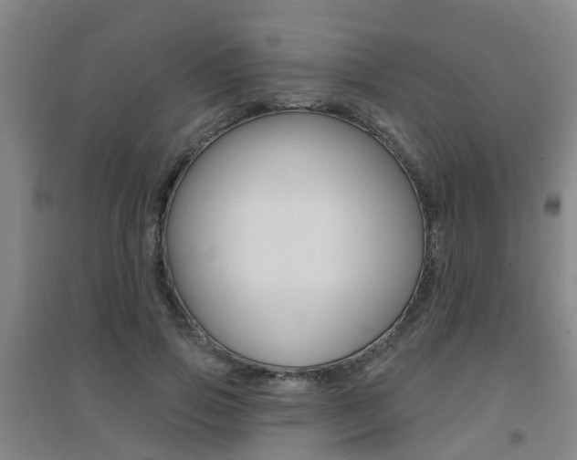X0000094460741200711081058