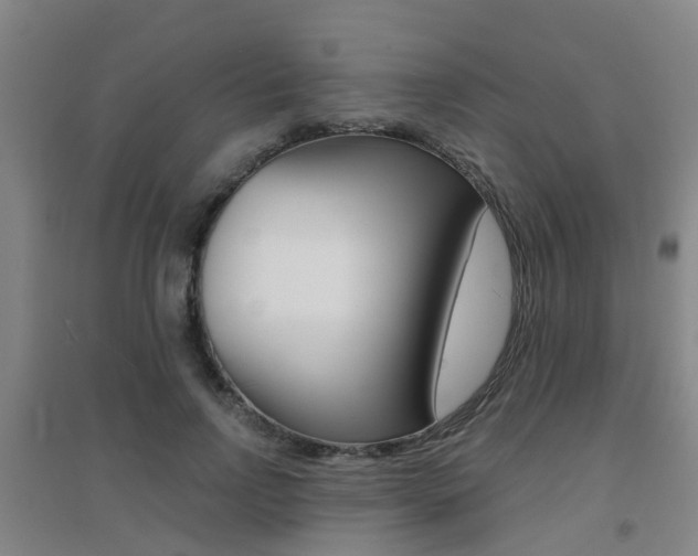 X0000094460742200711081058