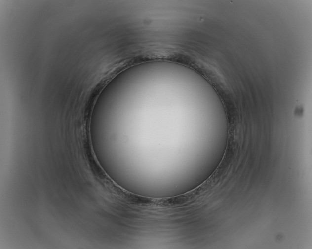 X0000094460743200711081058