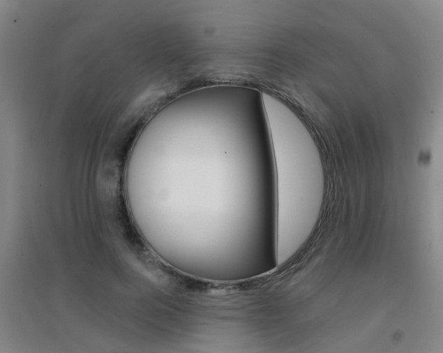 X0000094460744200711081058