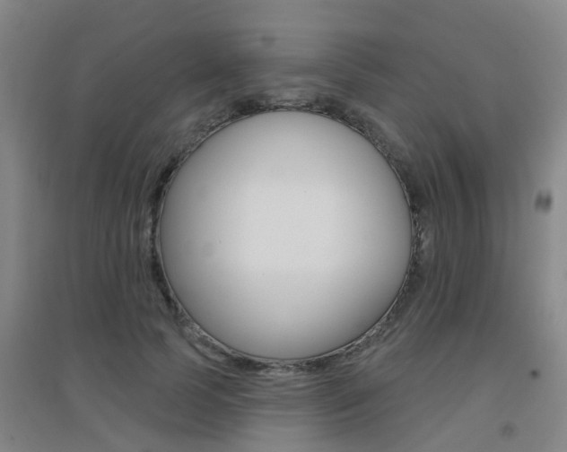 X0000094460745200711081058