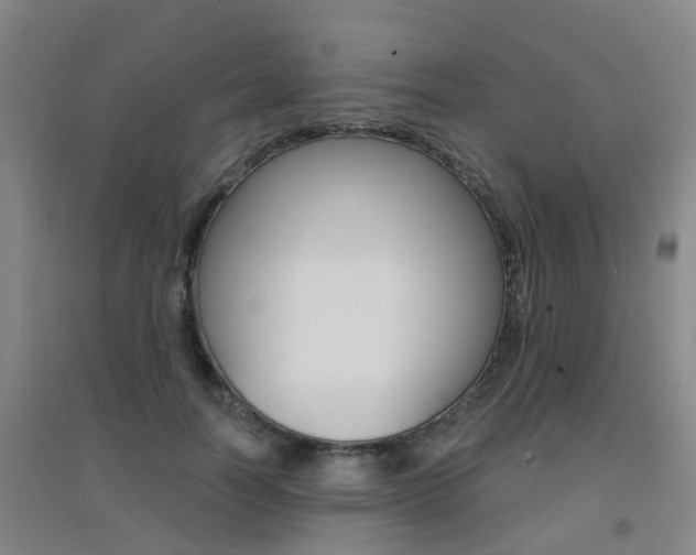 X0000094460746200711081058