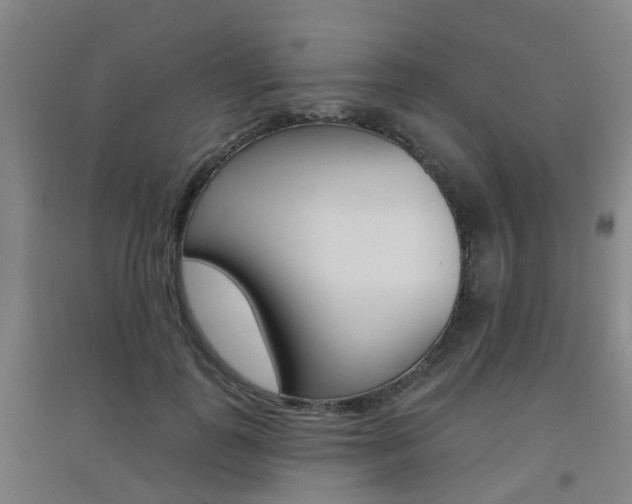 X0000094460747200711081058