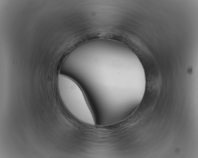 X0000094460748200711081058