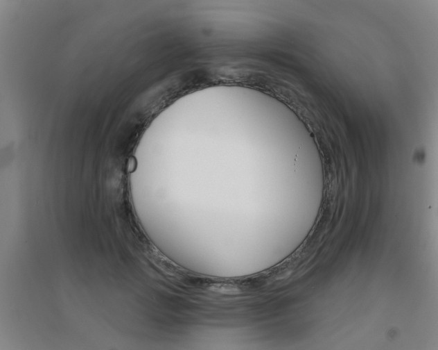 X0000094460749200711081058