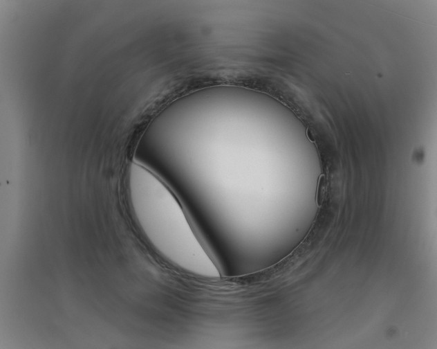 X0000094460750200711081058