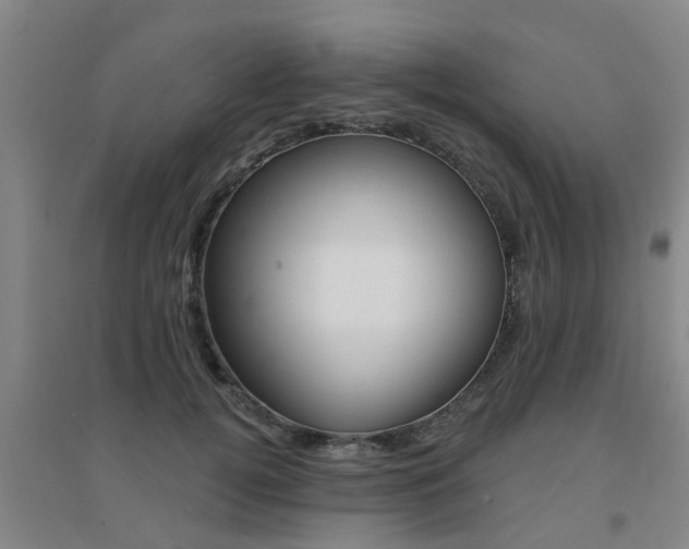 X0000094460752200711081058