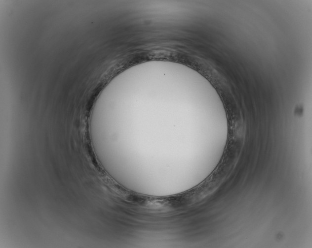 X0000094460753200711081058