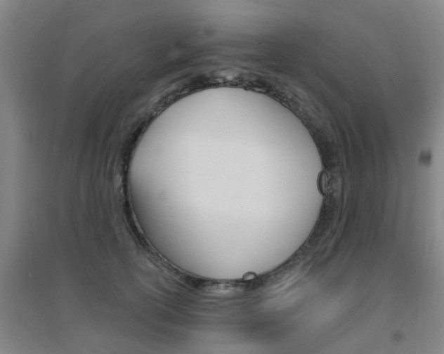 X0000094460754200711081058