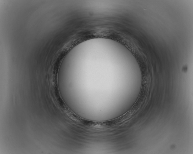 X0000094460755200711081058