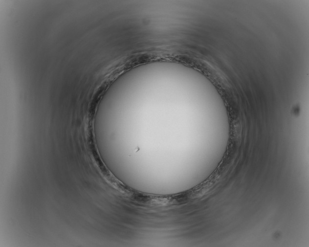 X0000094460757200711081059