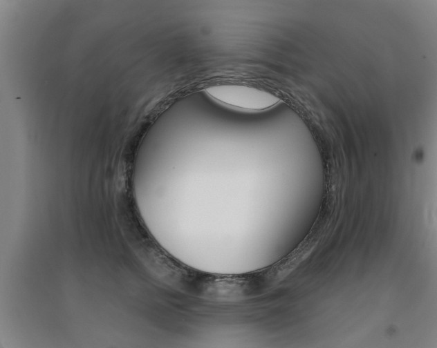 X0000094460758200711081059