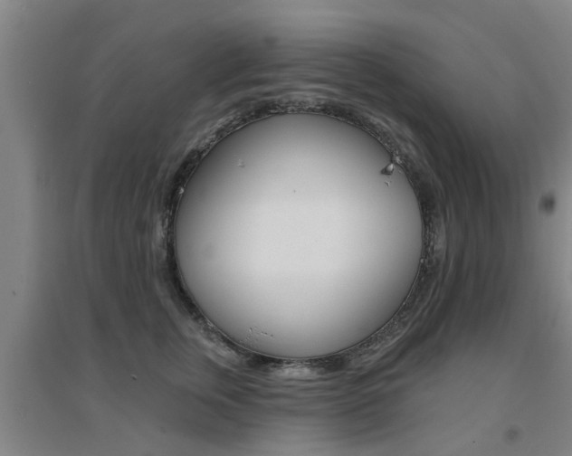 X0000094460759200711081059