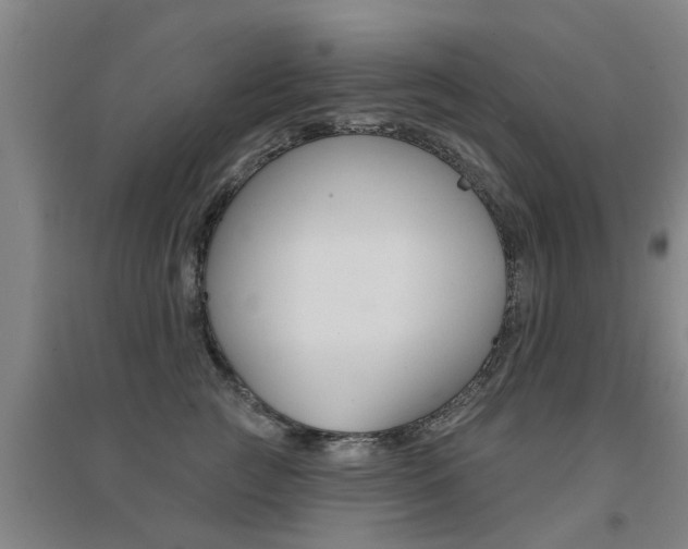 X0000094460761200711081059