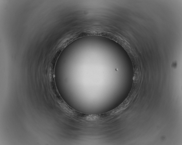 X0000094460762200711081059