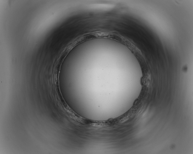 X0000094460763200711081059