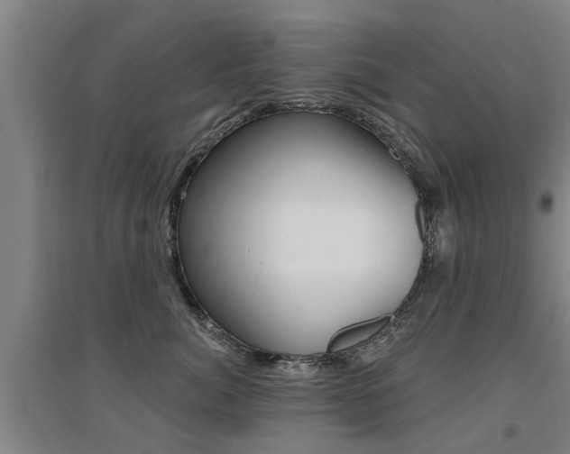 X0000094460764200711081059