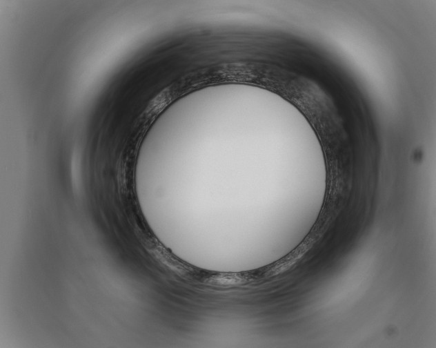 X0000094460765200711081059