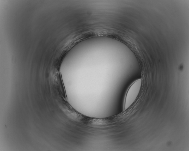 X0000094460766200711081059