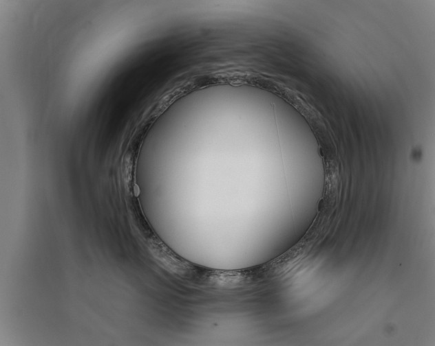 X0000094460767200711081059