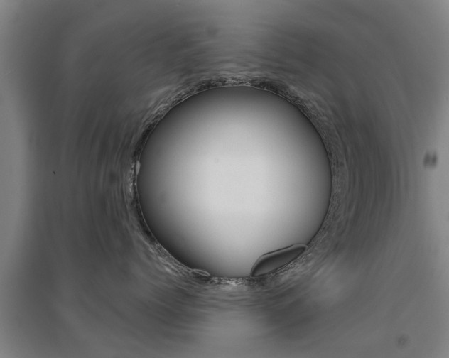 X0000094460768200711081059